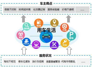 精讀藍(lán)皮書 2016年中國汽車工具類移動(dòng)App專題研究——代駕服務(wù)崛起篇